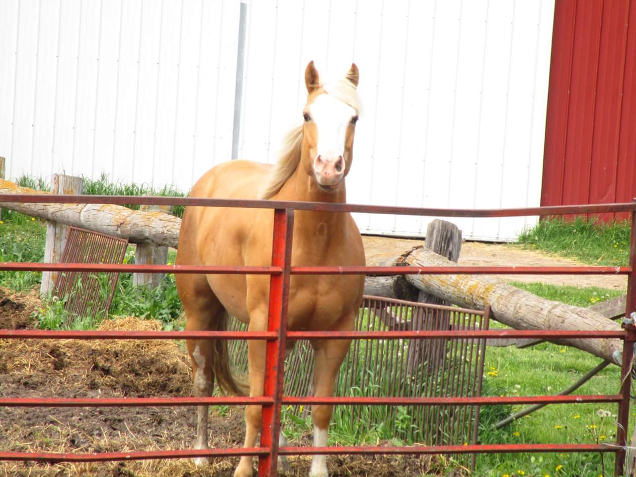 FB_IMG_1533615626538